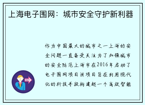 上海电子围网：城市安全守护新利器